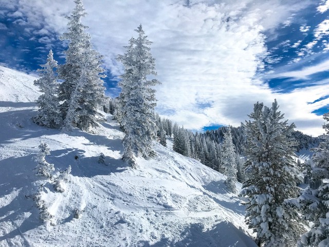 Alta Ski Area - Sustainable Ski Resort